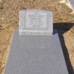 Wanell Davis Register