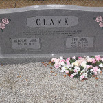 Reni Anne Clark