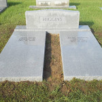 Higgins